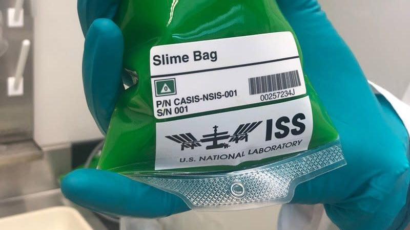 Illustration for article titled SpaceX is sending some Nickelodeon slime to space, where it belongs
